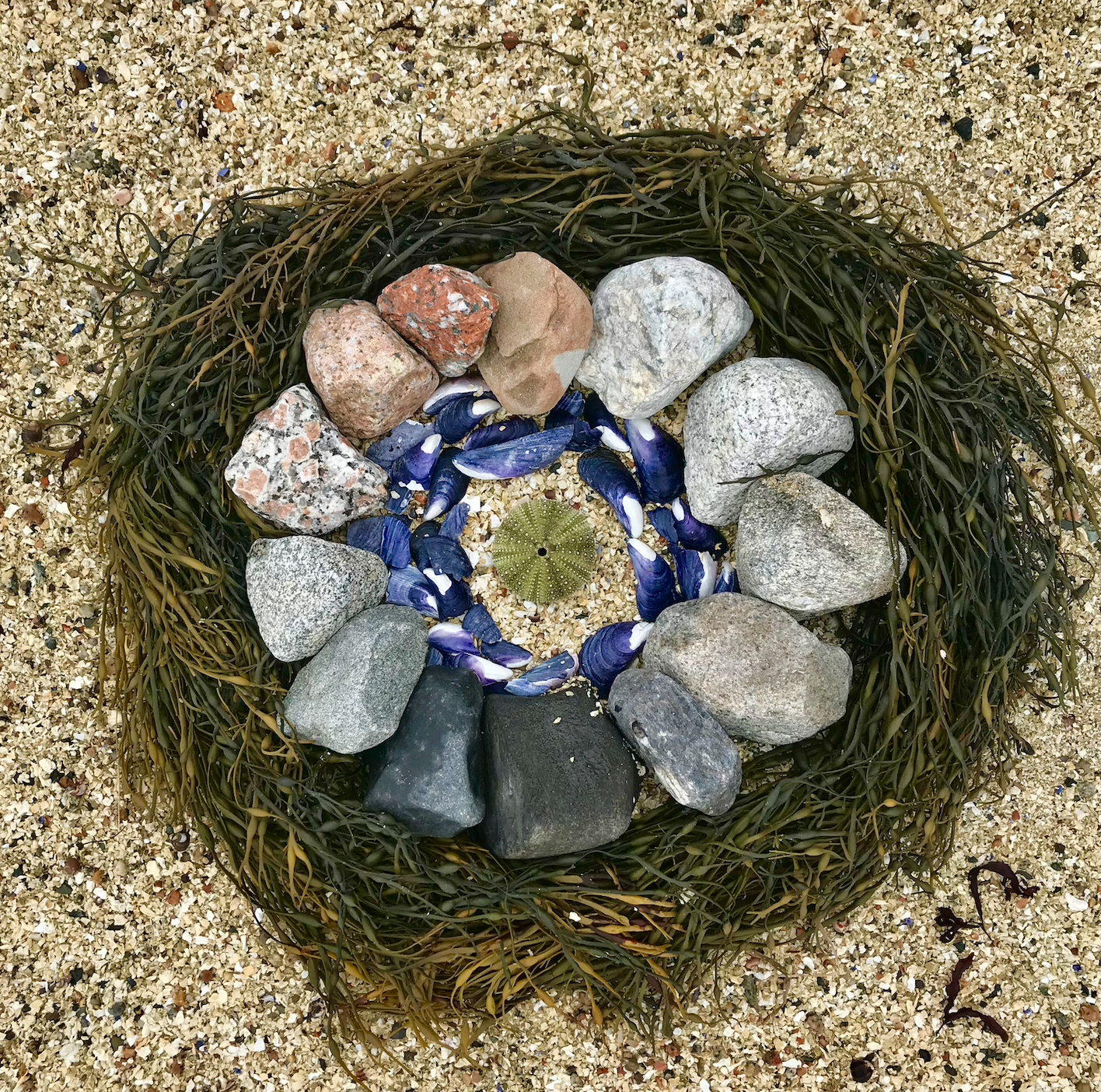 Andy Goldsworthy Inspires Us All — Nature Links for Lifelong Learning